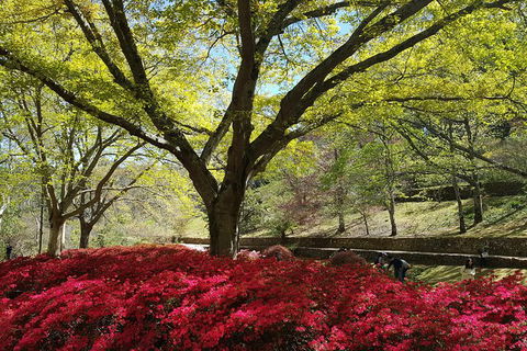 Spring Gardens In The Blue Mountains Private Tour Limited Time Only - Darwin Holiday 1