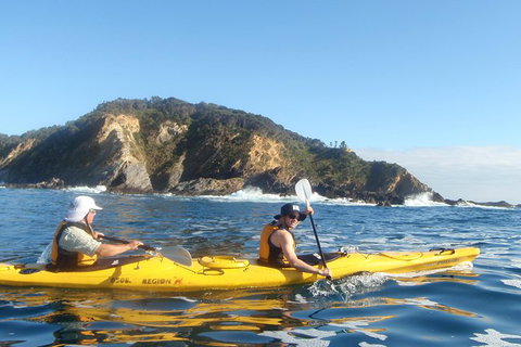Batemans Bay Full Day Sea Kayak Tour With Beach Picnic Lunch - Darwin Holiday 4