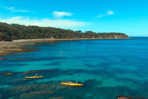 Batemans Bay Full Day Sea Kayak Tour With Beach Picnic Lunch - Darwin Holiday 7