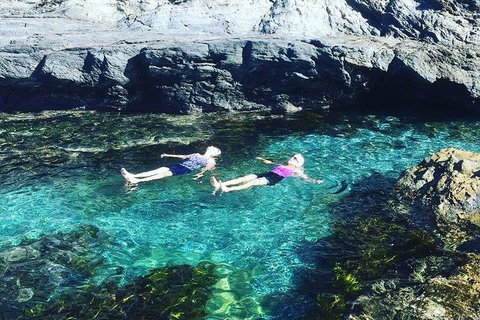 Batemans Bay Full Day Sea Kayak Tour With Beach Picnic Lunch - Darwin Holiday 6