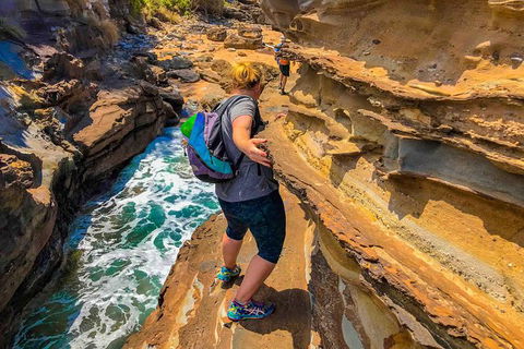 5 Day Murramarang Coast Journey From Sydney - Guided Hike With Villa Accom - Darwin Holiday 1