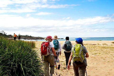 5 Day Murramarang Coast Journey From Sydney - Guided Hike With Villa Accom - Darwin Holiday 5