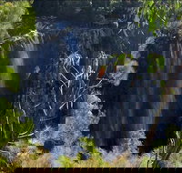 Byron Bay Hinterland Tour Including Rainforest Walk to Minyon Falls - Darwin Holiday