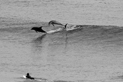 7-Day Byron Bay, Evans Head And Moonee Beach Surf Safari From Brisbane, Gold Coast Or Byron Bay - Darwin Holiday 6