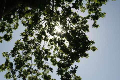 Sydney Photography Tour In The Historic Rocks Area - Darwin Holiday 4