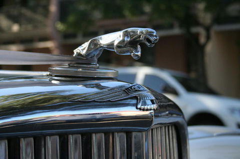 Sydney Photography Tour In The Historic Rocks Area - Darwin Holiday 3