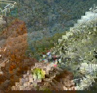 Blue Mountains Small-Group Insider Tour from Sydney - Darwin Holiday