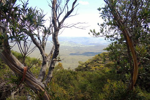 Blue Mountains Small-Group Insider Tour From Sydney - Darwin Holiday 6