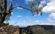 Blue Mountains Small-Group Insider Tour From Sydney - thumb 15