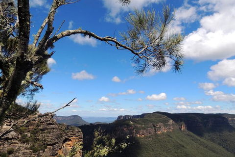 Blue Mountains Small-Group Insider Tour From Sydney - Darwin Holiday 15