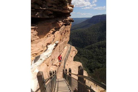 Blue Mountains Small-Group Insider Tour From Sydney - Darwin Holiday 13