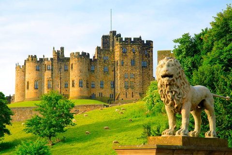Alnwick Castle Ticket - Darwin Holiday 1