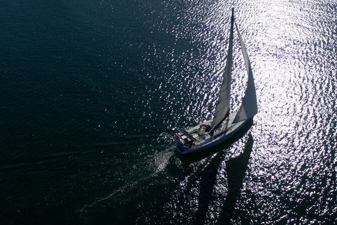 Vivid Dinner Cruise Sydney Harbour - Darwin Holiday 7