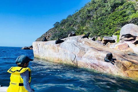 Best Of The Hawkesbury - 3 Day River Adventure - Darwin Holiday 12