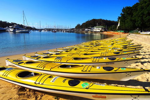 Self-Guided Sydney Middle Harbour Kayak 3 Hour Tour By Double Kayak - Darwin Holiday 4