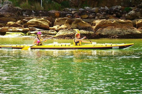Self-Guided Sydney Middle Harbour Kayak 3 Hour Tour By Double Kayak - Darwin Holiday 8