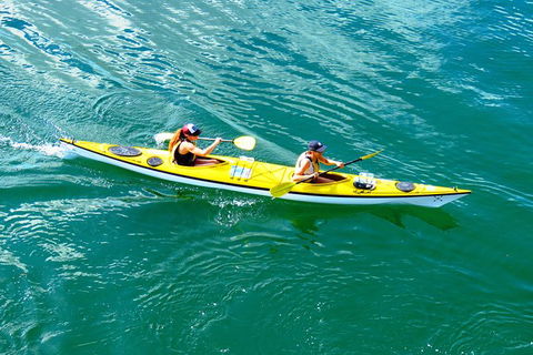 Self-Guided Sydney Middle Harbour Kayak 3 Hour Tour By Double Kayak - Darwin Holiday 2