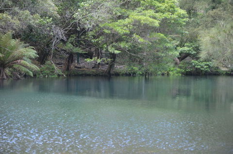 Blue Mountains And Jenolan Caves Motorcoach Day Tour - Darwin Holiday 4