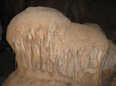 Blue Mountains And Jenolan Caves Motorcoach Day Tour - Darwin Holiday 18