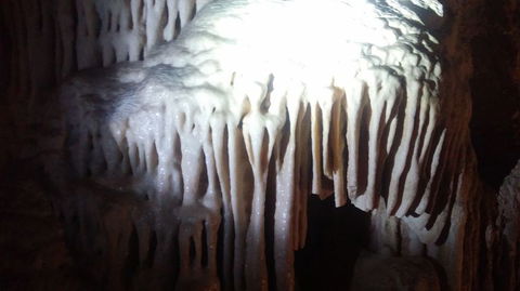 Blue Mountains And Jenolan Caves Motorcoach Day Tour - Darwin Holiday 6