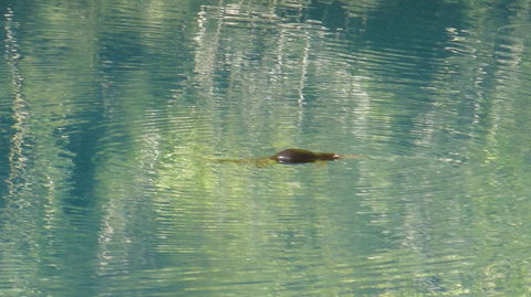 Blue Mountains And Jenolan Caves Motorcoach Day Tour - Darwin Holiday 12