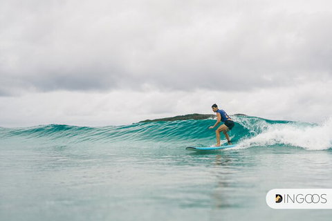 5-Day Byron Bay And Evans Head Surf Adventure From Brisbane, Gold Coast Or Byron Bay - Darwin Holiday 4