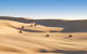 Worimi Sand Dunes Quad Bike Tour - thumb 5