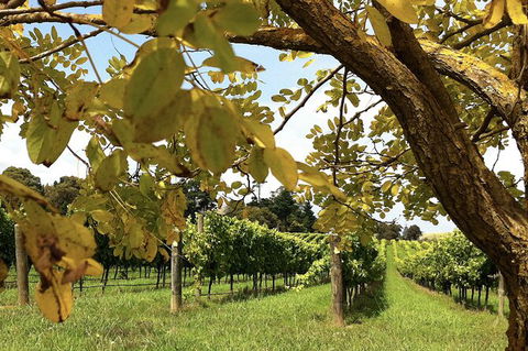 Private Southern Highlands Day Trip From Sydney Including Fitzroy Falls - Darwin Holiday 2