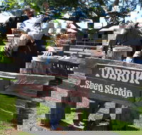 Private Tobruk Sheep Station Day Tour from Sydney Including BBQ Lunch - Darwin Holiday