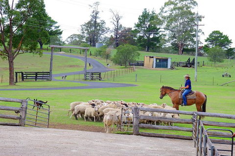 Private Tobruk Sheep Station Day Tour From Sydney Including BBQ Lunch - Darwin Holiday 6