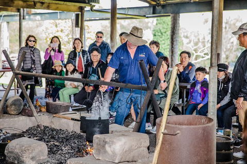Private Tobruk Sheep Station Day Tour From Sydney Including BBQ Lunch - Darwin Holiday 2