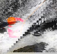 Full Day Sub-Tropical Rainforest Canyoning Adventure from Sydney - Darwin Holiday