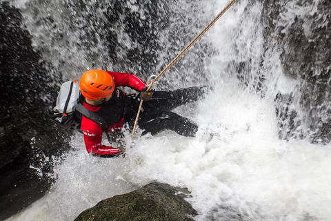 Full Day Sub-Tropical Rainforest Canyoning Adventure From Sydney - Darwin Holiday 0