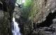 Full Day Sub-Tropical Rainforest Canyoning Adventure From Sydney - thumb 1