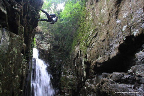 Full Day Sub-Tropical Rainforest Canyoning Adventure From Sydney - Darwin Holiday 7