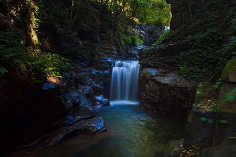 Full Day Sub-Tropical Rainforest Canyoning Adventure From Sydney - Darwin Holiday 8