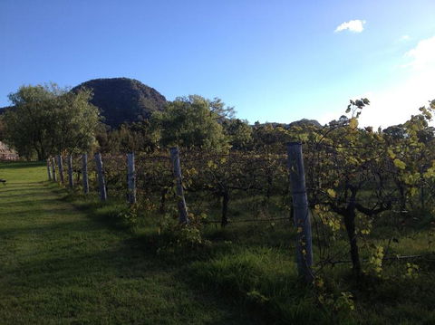 Small Group All Inclusive Hunter Valley Wine Tasting Tour From Sydney - Darwin Holiday 17