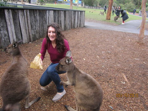 Small Group All Inclusive Hunter Valley Wine Tasting Tour From Sydney - Darwin Holiday 14