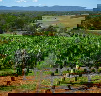 Small Group All Inclusive Hunter Valley Wine Tasting Tour from Sydney - Darwin Holiday