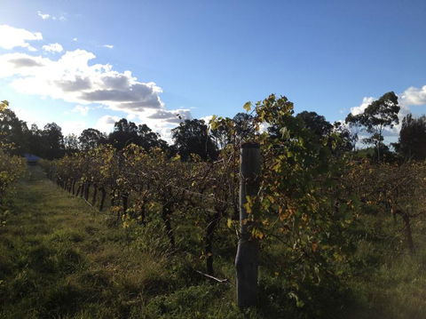 Small Group All Inclusive Hunter Valley Wine Tasting Tour From Sydney - Darwin Holiday 18