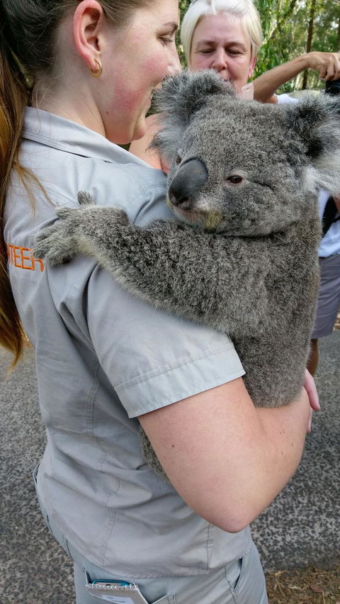 Small Group All Inclusive Hunter Valley Wine Tasting Tour From Sydney - Darwin Holiday 5