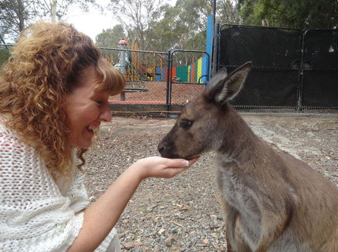 Small Group All Inclusive Hunter Valley Wine Tasting Tour From Sydney - Darwin Holiday 16