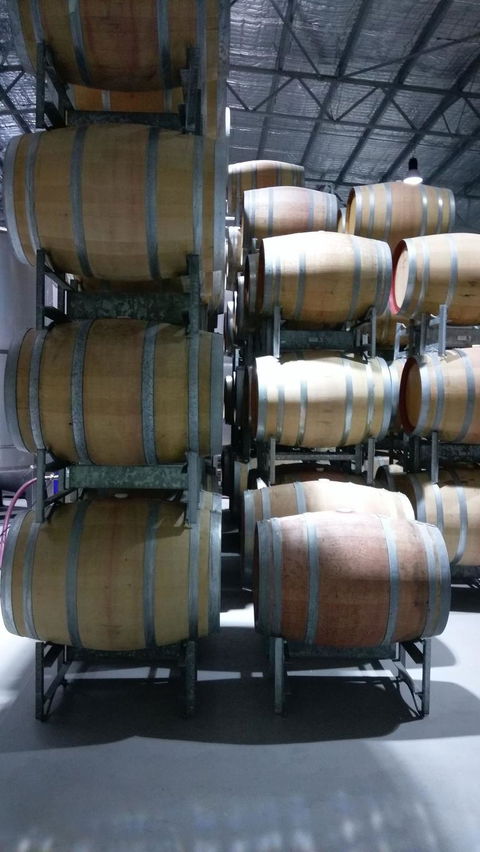 Small Group All Inclusive Hunter Valley Wine Tasting Tour From Sydney - Darwin Holiday 4