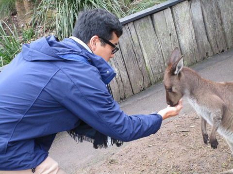 Small Group All Inclusive Hunter Valley Wine Tasting Tour From Sydney - Darwin Holiday 12