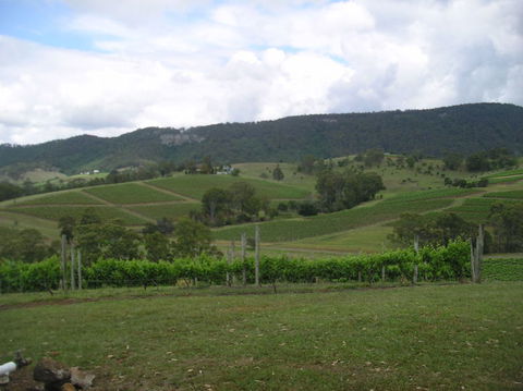 Small Group All Inclusive Hunter Valley Wine Tasting Tour From Sydney - Darwin Holiday 9