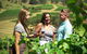 Small Group All Inclusive Hunter Valley Wine Tasting Tour From Sydney - thumb 31