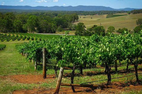 Small Group All Inclusive Hunter Valley Wine Tasting Tour From Sydney - Darwin Holiday 26
