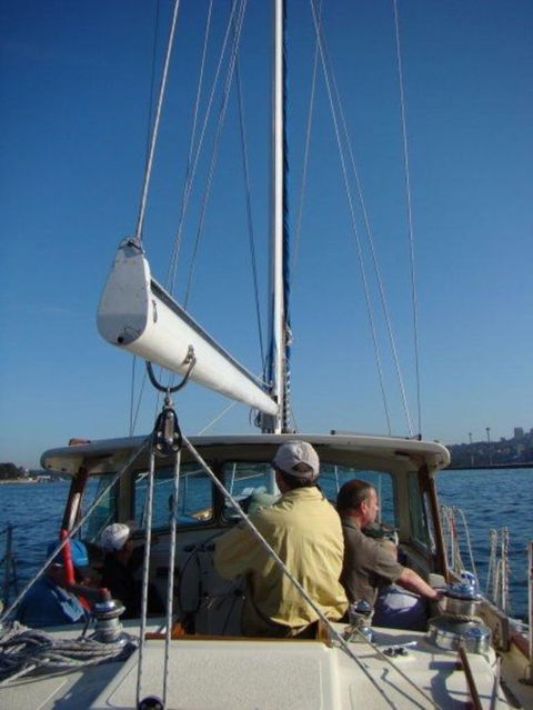 Sydney Eco Whale Watching Small Group Cruise - Darwin Holiday 14