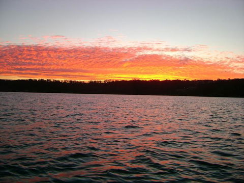 Sydney Eco Whale Watching Small Group Cruise - Darwin Holiday 19