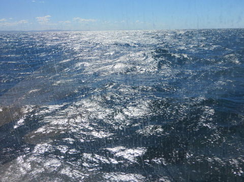 Sydney Whale-Watching Cruise - Darwin Holiday 5